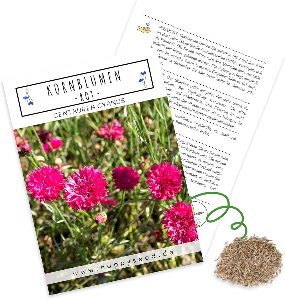 Semi di Centaurea cyanus - Fiori belli e vivaci con un lungo periodo di fioritura per un prato fiorito colorato (Mix, 1000 semi, 80 cm)