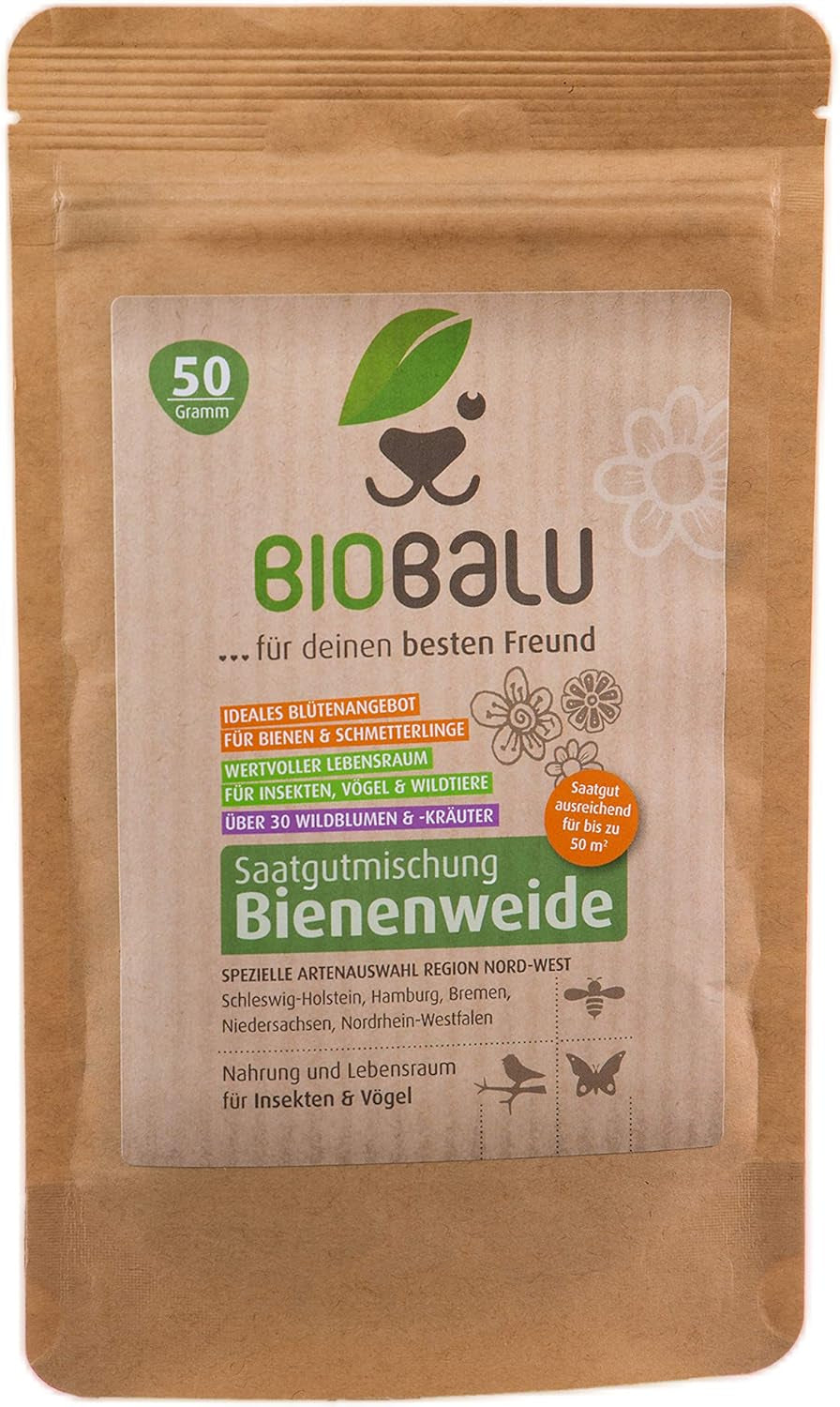 Semi di api - fiori di campo, perenni e resistenti all'inverno, semi - oltre 40 fiori autoctoni ed erbe selvatiche, selezione speciale di specie per la Germania meridionale, 50 g