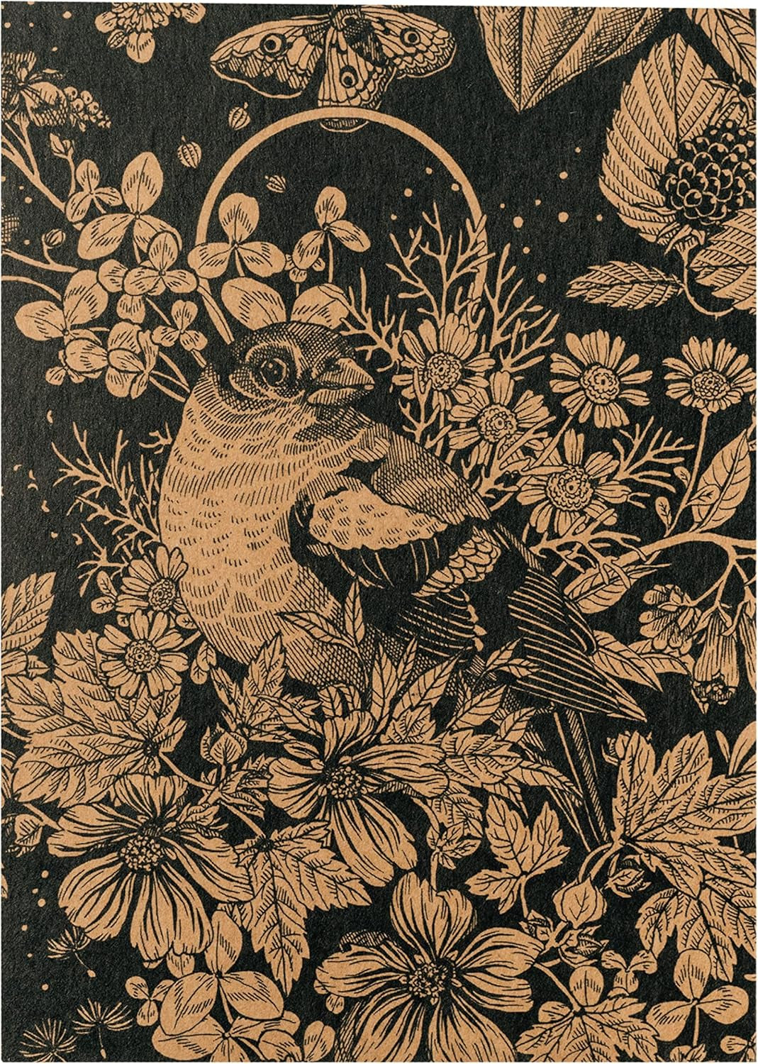 Le nostre piante preferite: piante perenni e fiori estivi per gli amanti dei fiori (organici) - Set regalo di semi con 6 deliziose varietà per un'esplosione floreale selvaggia - ti rende felice!