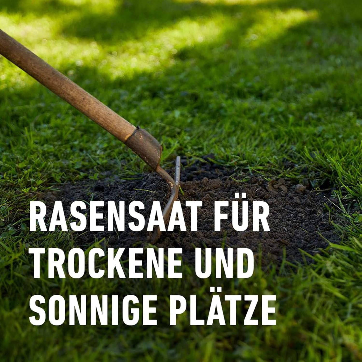 Compo SAAT® Trocken-Rasen 2Kg Für 80M²