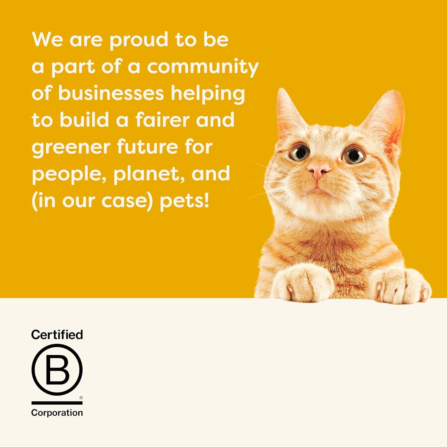 Applaws Premium Natural Pisici Hrană Umedă, Selecție de Pui în Supă 70g Pliculețe Porționate (12x70g)