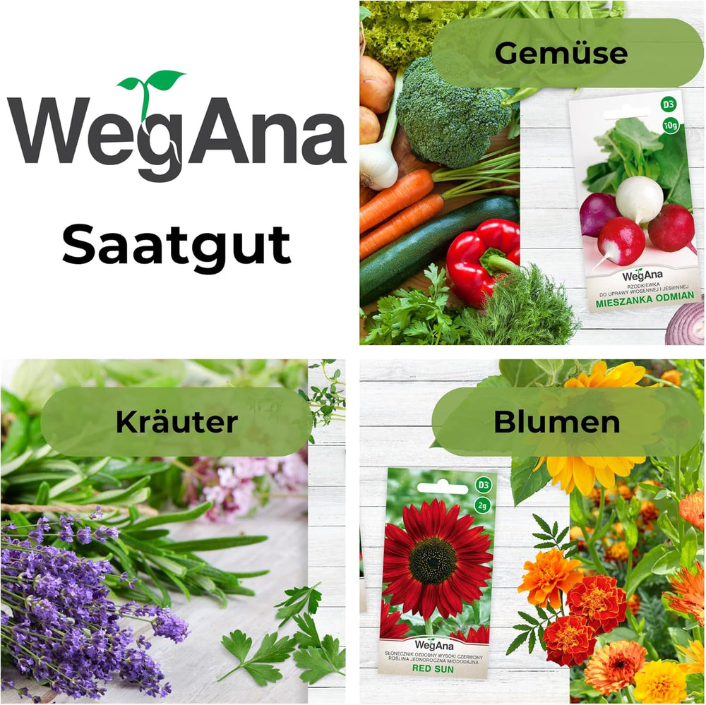 Semi Cosmos Sensation Mix 1g, Cosmos Mix Fiori estivi, Piante da giardino Piante da balcone, Semi di fiori