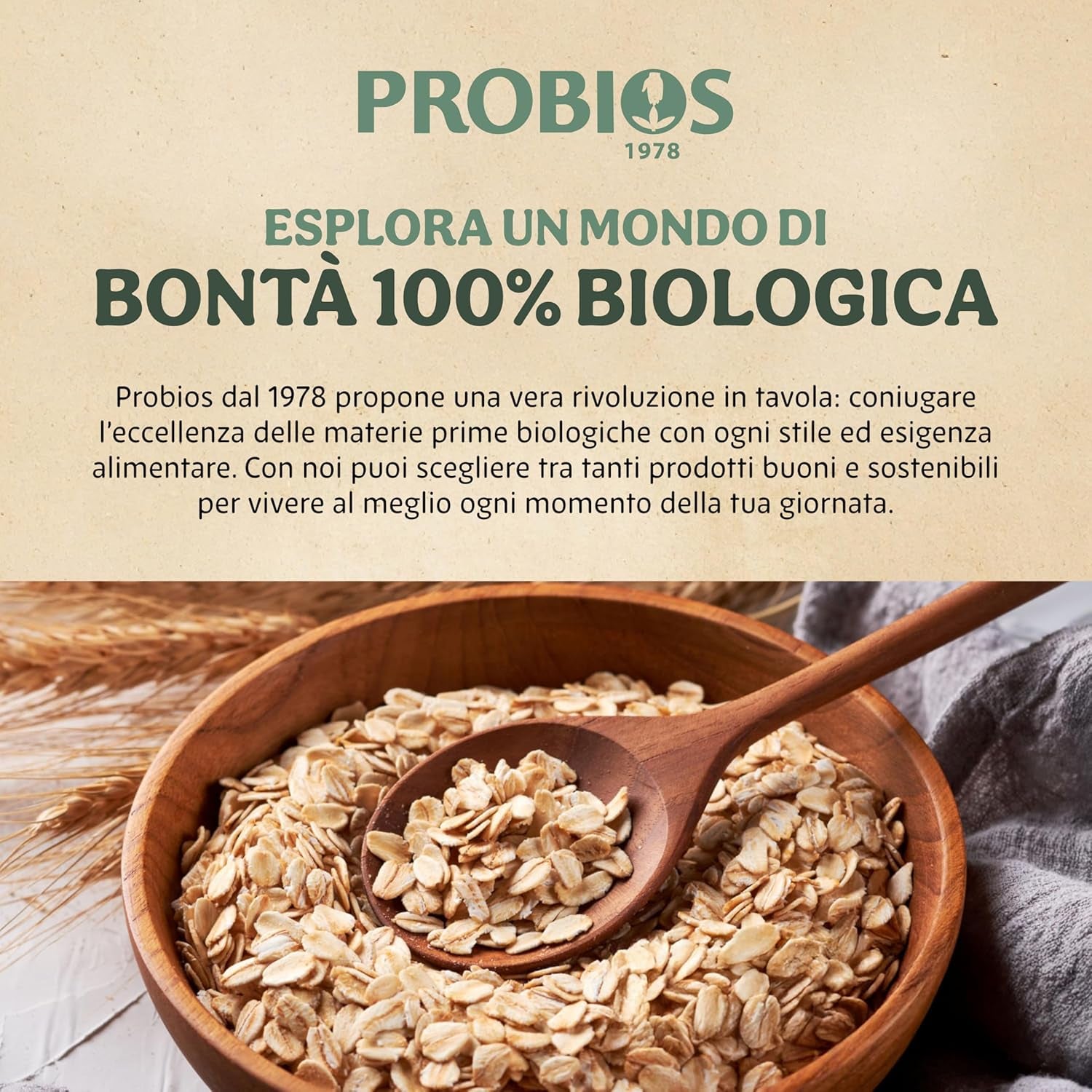 Cornflakes leggeri bio 500g per confezione