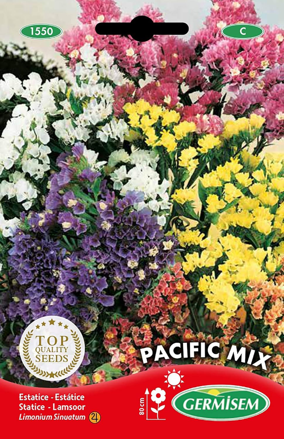 Statico, multicolore, EC1550