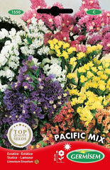 Statico, multicolore, EC1550