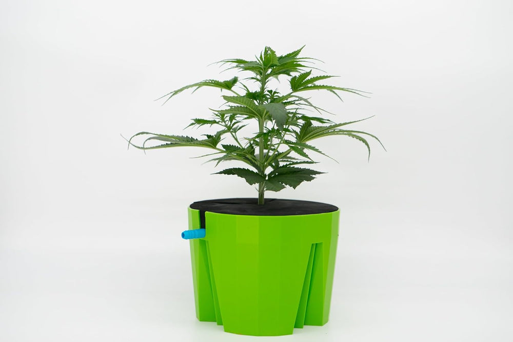 Hydro Farmer, set de ghivece cu 19 piese Ø 18 cm (verde), sistem de creștere care include 4 ghivece, 4 inele de udare, 4 capace, set adaptor și furtun de 2 m, hidroponică, aeroponică