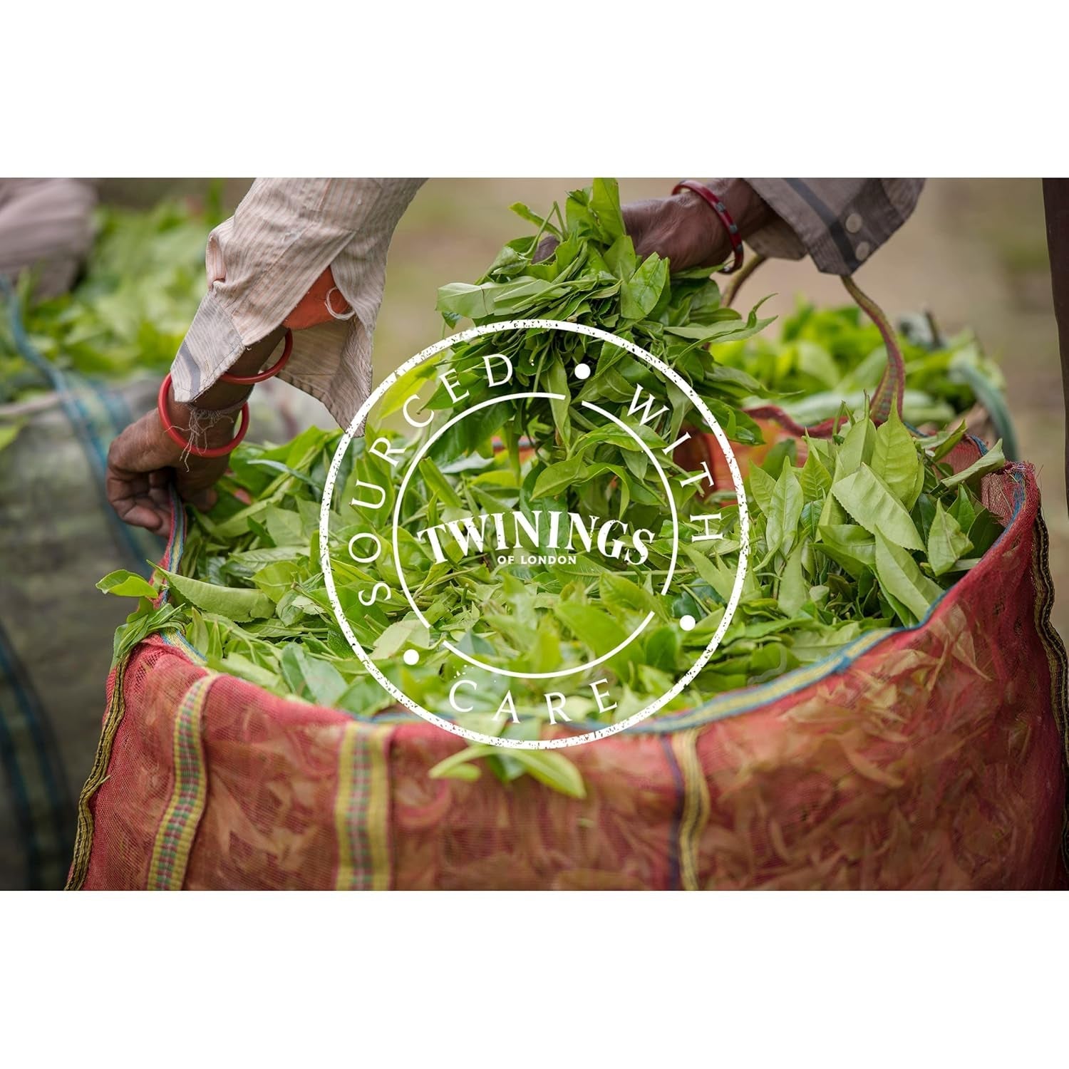 Twinings English Breakfast Tea Ceai negru vrac în cutie de ceai Ceai negru puternic din frunze de ceai de înaltă calitate culese din cele mai bune plantații de ceai din Sri Lanka și India G, neutru, 100 grame