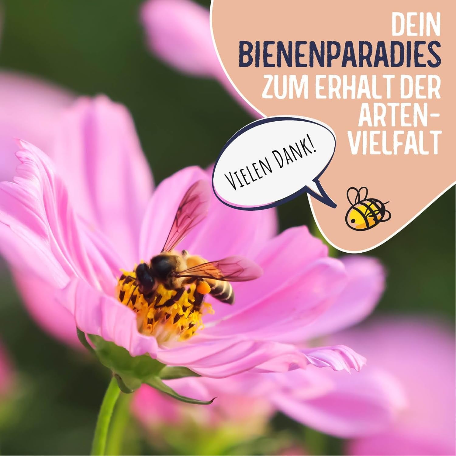 Blumenwiese Samen I 200 g I Blumensamen mehrjährig I Samen für Bienen Blumenmischung I Wildblumensamen f. Balkonblumen, Wildblumen I Wildblumensamen più inverno come Bienenweide