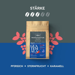 Melitta Manufaktur-Kaffee Guatemala Honey, Caffè speciale, 250G, Caffè in grani interi, Non macinato, Caffè monorigine, Tostato delicato, Tostato in Germania, Forza 3 Caffè Naty Shop