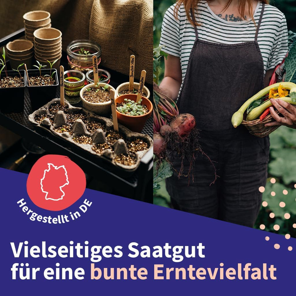 Magic Garden Seeds - Set di semi di piante medicinali dell'Europa centrale - 12 varietà tradizionali di piante medicinali popolari - Varietà antiche - Accessori da giardino - Semi di piante - Regalo per gli amanti del giardino