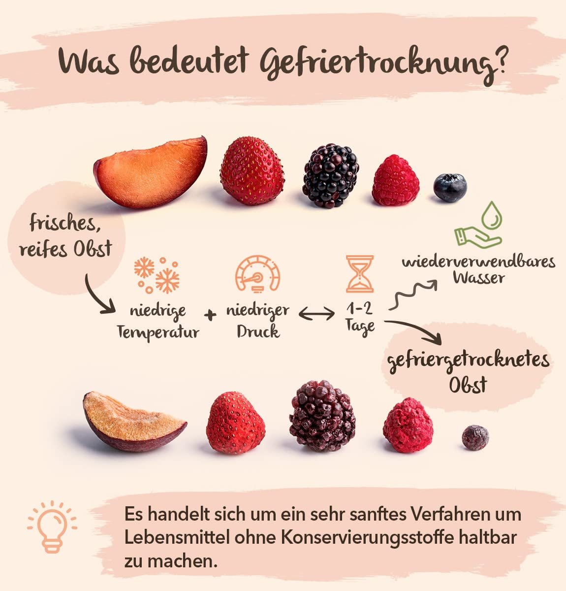 BRIX fructe liofilizate | Amestec natural de fructe uscate 115g | Premiul Great Taste pentru fructe uscate | Fără OMG, fără gluten, vegan, vitamine reținute Produse deshidratate Naty Shop