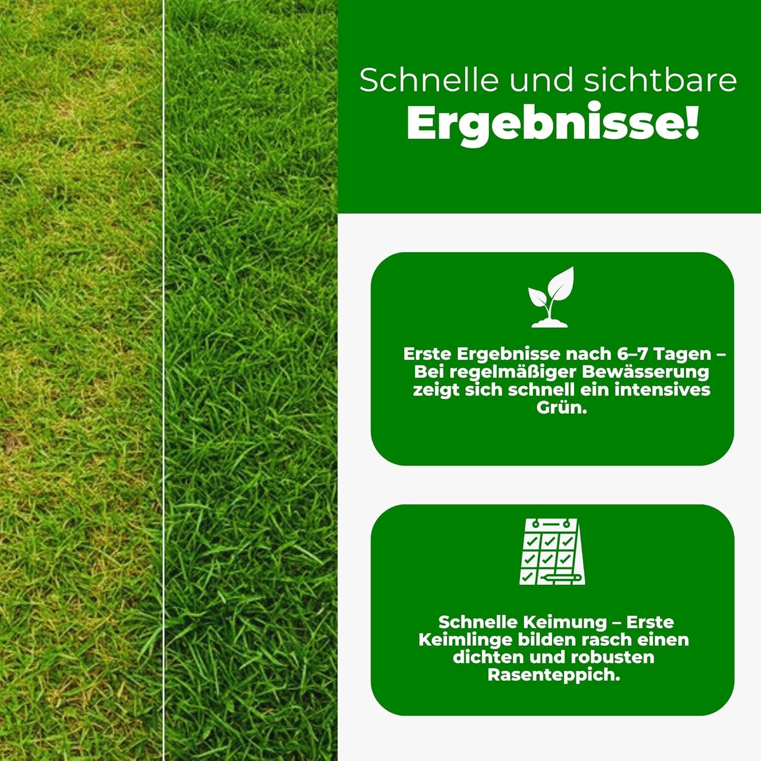 Mikroklee - Weißklee Trifolium Repens 500G - Rasenklee Bereichert Den Rasen - Klee Samen Zur Anlockung Von Bienen -Saatgut Für Gleichmäßige, Dichte Grasnarbe Das Ganze Jahr Über