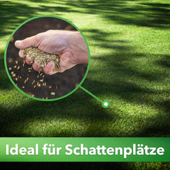 Hesa Schattenrasen RSM 7.4, 1Kg Für Ca 50 M², Premium Rasensamen, Zierrasen Für Schatten, Halbschatten Und Auch Vollsonne, Grassamen in Profiqualität