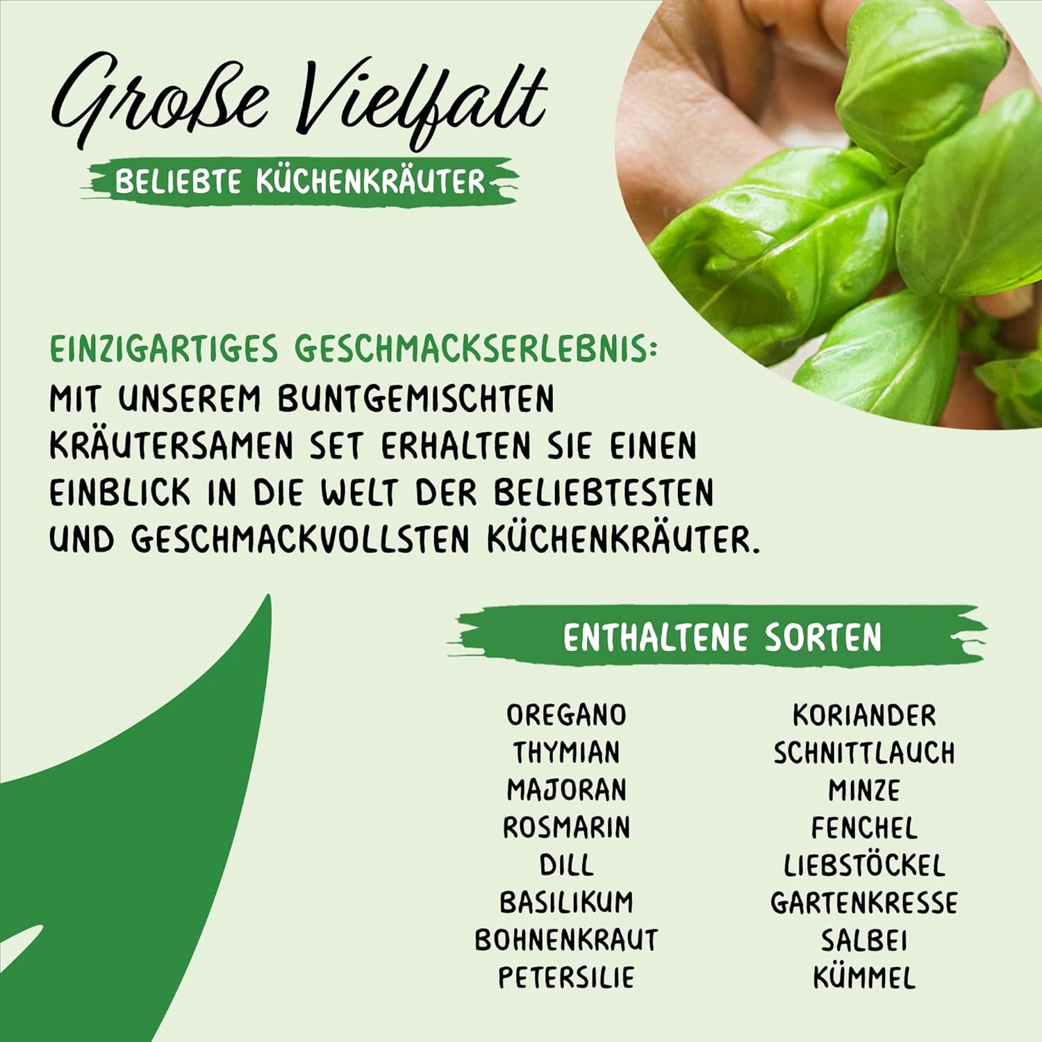 Prademir – Kräutersamen Set aus 16 beliebten Küchenkräutern – Kräuter Anzuchtset mit 100% Natursamen aus Portugal – Kräuter Saatgut aus Origano, Timo, Maggiorana, Rosmarino, Aneto, Basilico, Salvia uvm