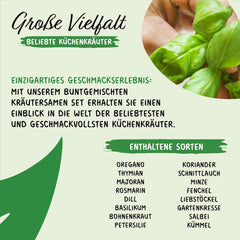 Prademir – Kräutersamen Set aus 16 beliebten Küchenkräutern – Kräuter Anzuchtset mit 100% Natursamen aus Portugal – Kräuter Saatgut aus Origano, Timo, Maggiorana, Rosmarino, Aneto, Basilico, Salvia uvm