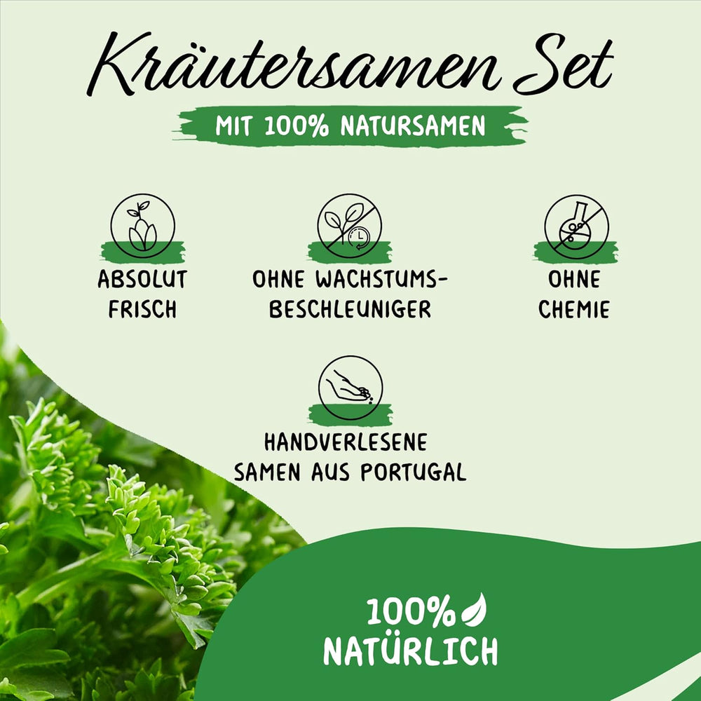 Prademir – Kräutersamen Set aus 16 beliebten Küchenkräutern – Kräuter Anzuchtset mit 100% Natursamen aus Portugal – Kräuter Saatgut aus Origano, Timo, Maggiorana, Rosmarino, Aneto, Basilico, Salvia uvm