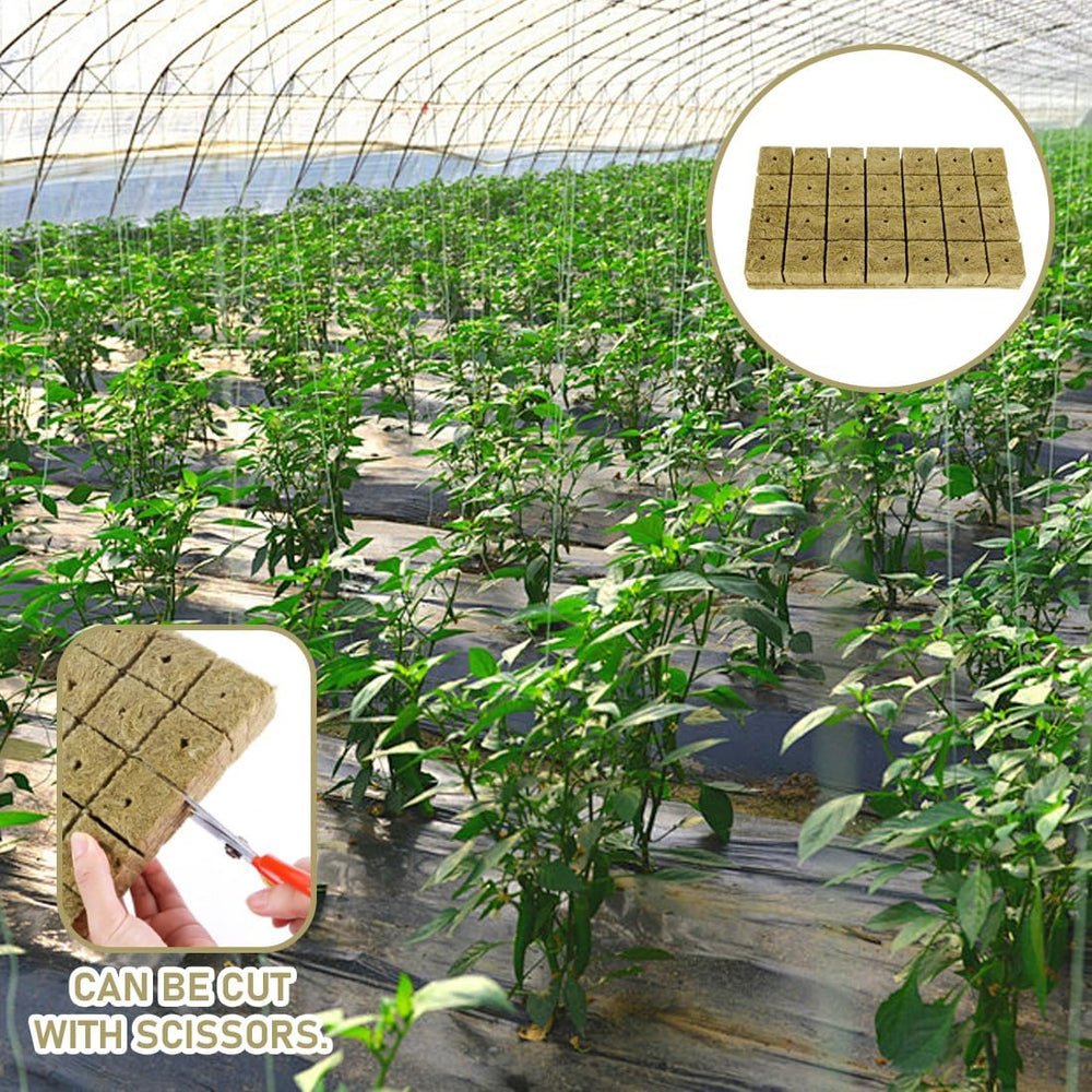 Cubi per piantine di lana di roccia 28 - Cubi di lana di roccia 4x4x4 cm - Cubi per piantine, Cubi di lana di roccia, Sistemi di piantine idroponiche/Piante clonate/Progetti scolastici, Coltivazione di piantine senza suolo