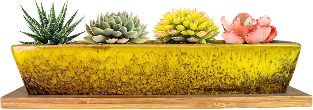 Ghivece ceramice pentru suculente, 30 cm, moderne, lungi, dreptunghiulare, recipient pentru flori cu tavă, cutie plată pentru cactus și bonsai cu drenaj, pentru uz interior și exterior, decorațiuni interioare