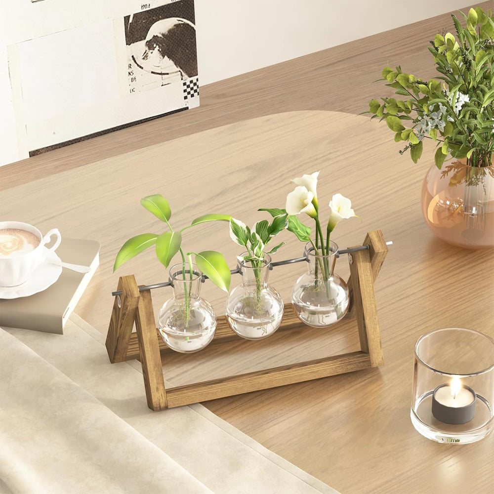 Stazione di propagazione idroponica Bamworld con supporto in legno - 3 vasi in vetro per la coltivazione di piante acquatiche e la decorazione della casa