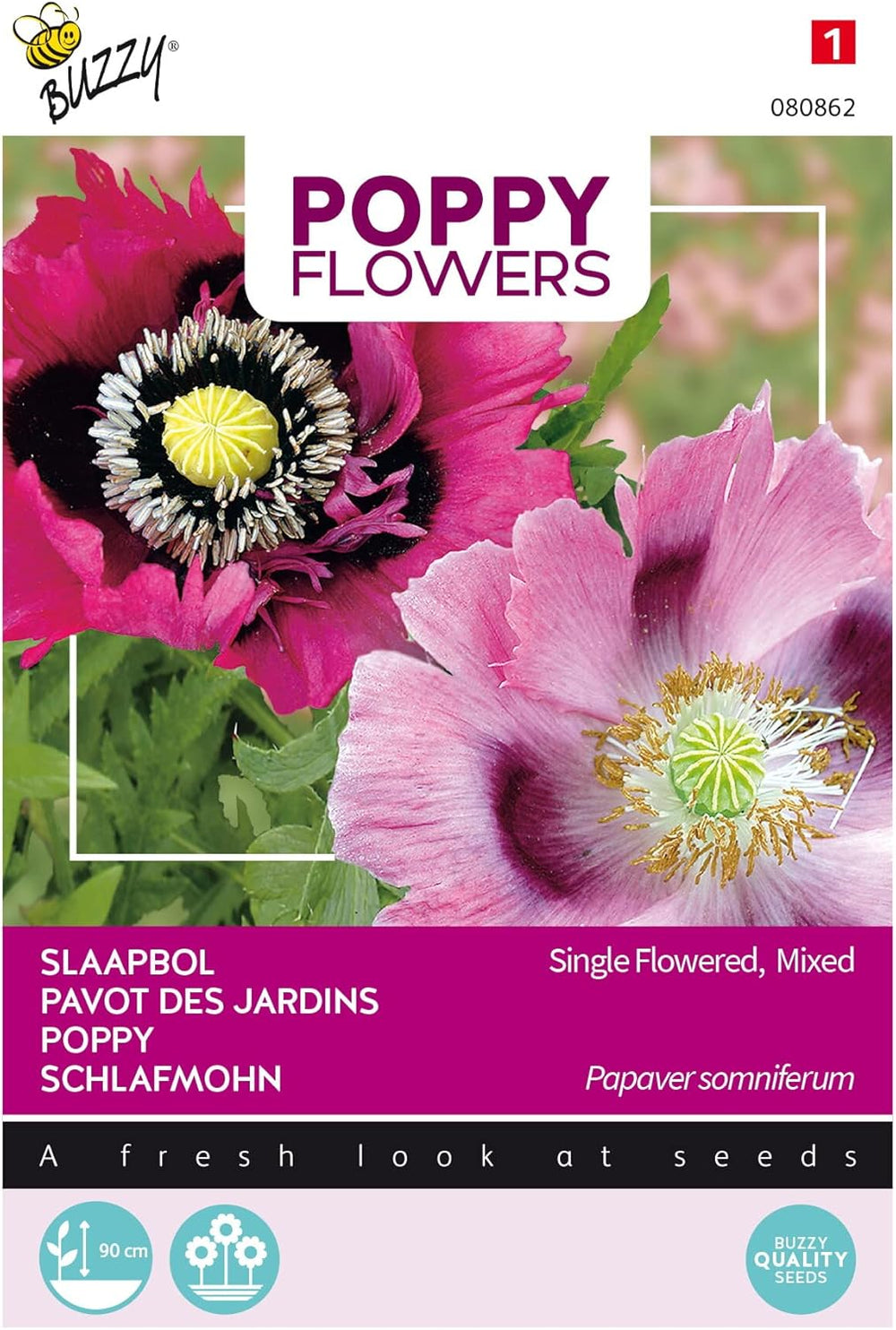 Fiori di papavero Buzzy Mix di papaveri Somniferum