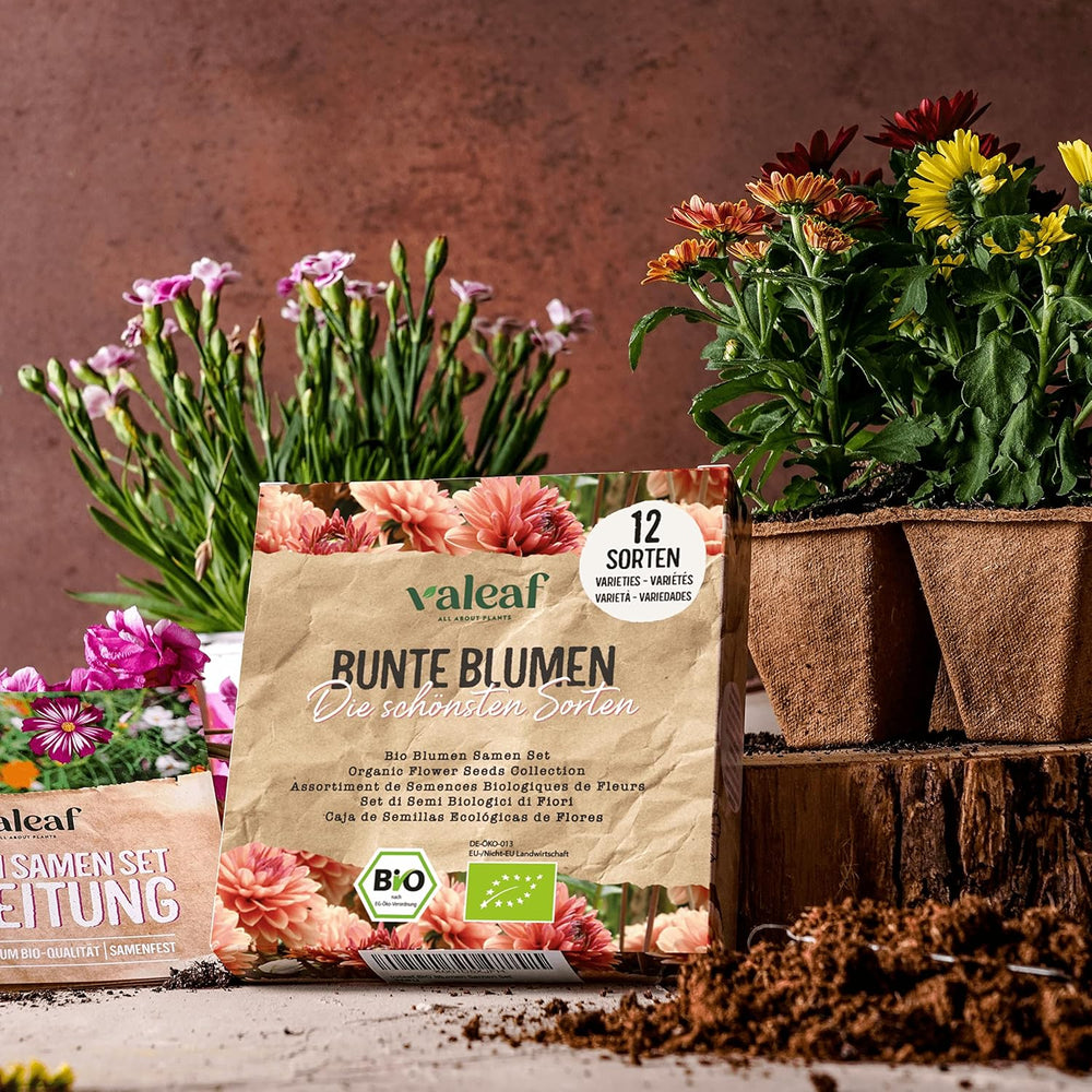 Set di semi di fiori biologici | 12 varietà di semi di fiori | Semi di fiori premium | Set di semi di piante di semi di fiori selvatici | Semi di fiori | Semi di fiori per il balcone | Regalo ideale con semi di fiori