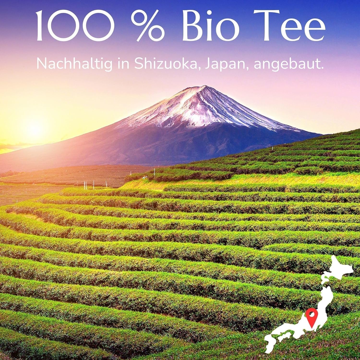 Anna'S Teapot Sencha Ceai verde organic Pliculețe - Ceai verde japonez organic 20 pliculețe piramidale într-o pungă resigilabilă