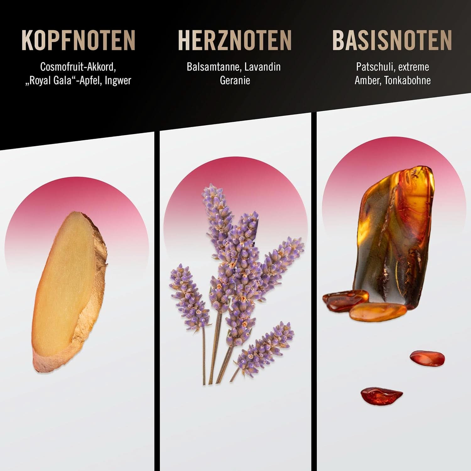 Bruno Banani Loyal Man Gel doccia 3 in 1 per corpo, capelli e viso, uomo, 250 ml Doccia e bagno Naty Shop