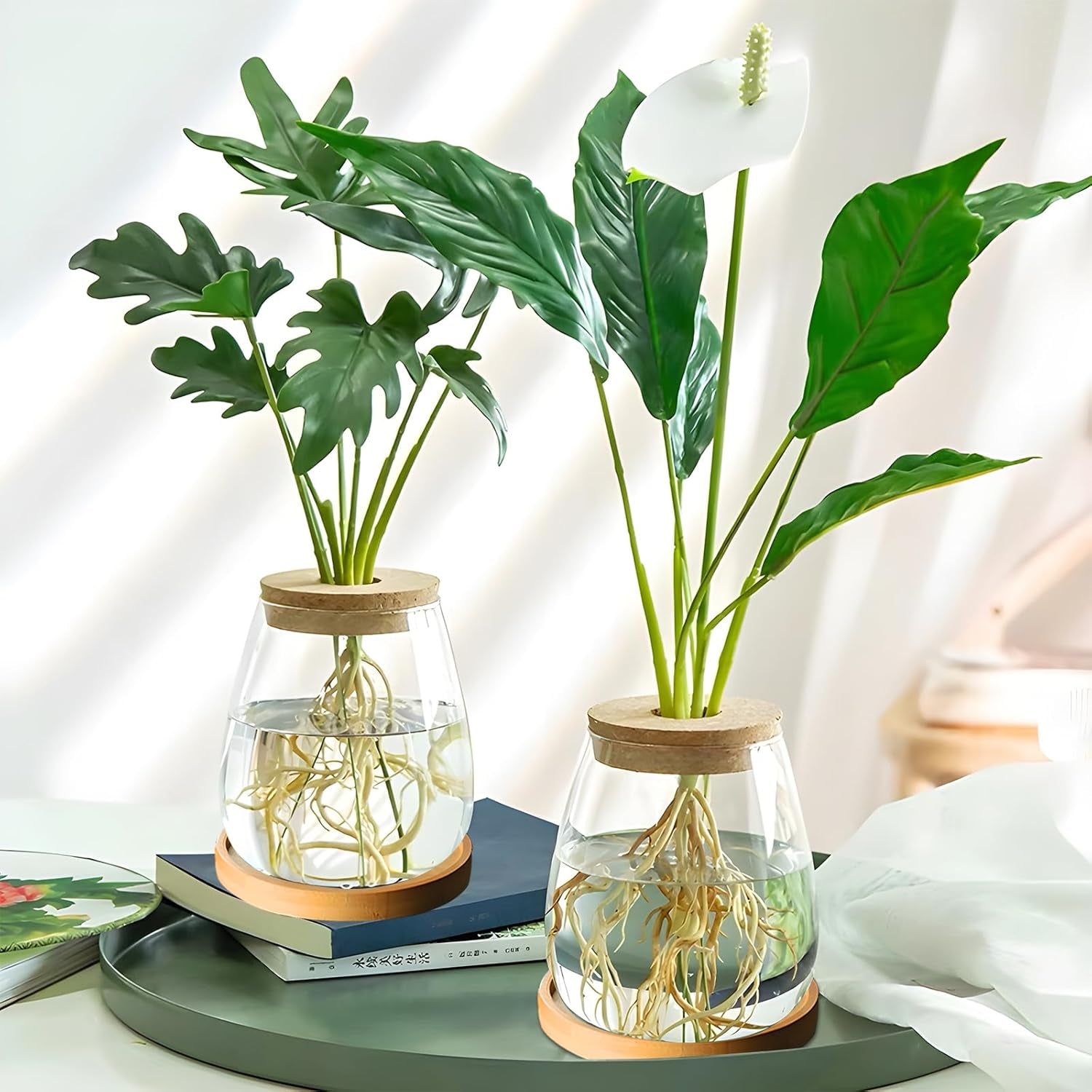 Stazione di coltivazione idroponica per piante 12x11 cm Vaso per semi di avocado Fioriera in vetro Vaso in vetro idroponico per piante acquatiche o fiori Decorazioni per la tavola da scrivania 2 pezzi