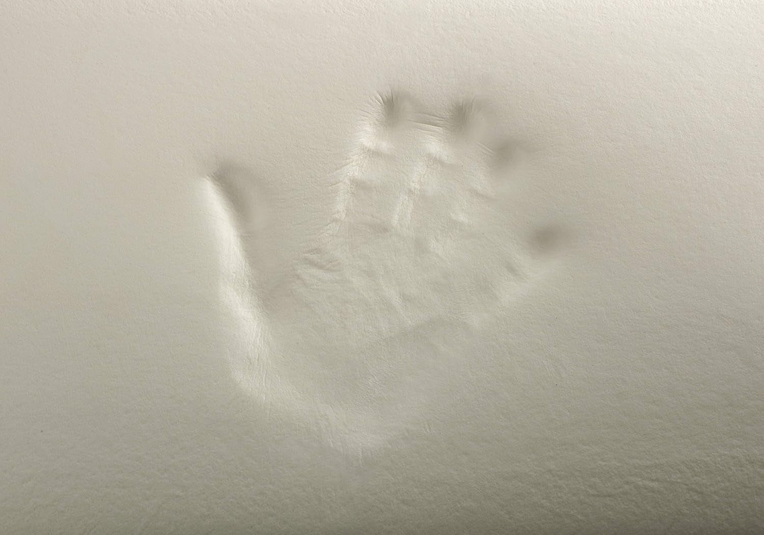 Todocama Todolit viscoelastic aloe vera plus pernă, verde, 2 bucăți, 75 cm Perne standard Naty Shop