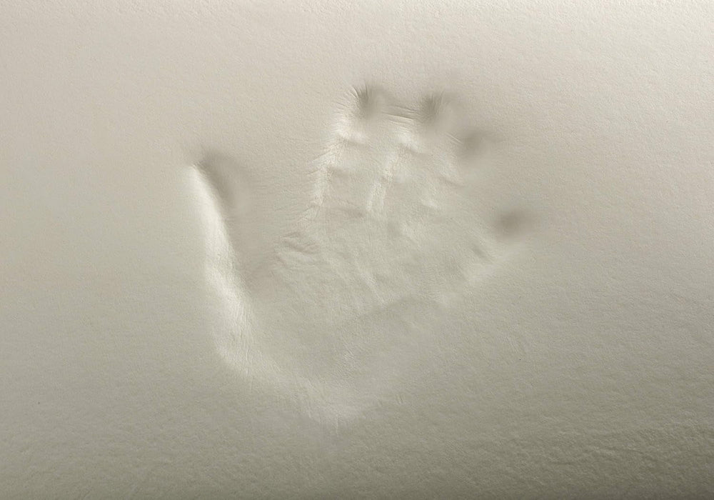 Todocama Todolit viscoelastic aloe vera plus pernă, verde, 2 bucăți, 75 cm Perne standard Naty Shop