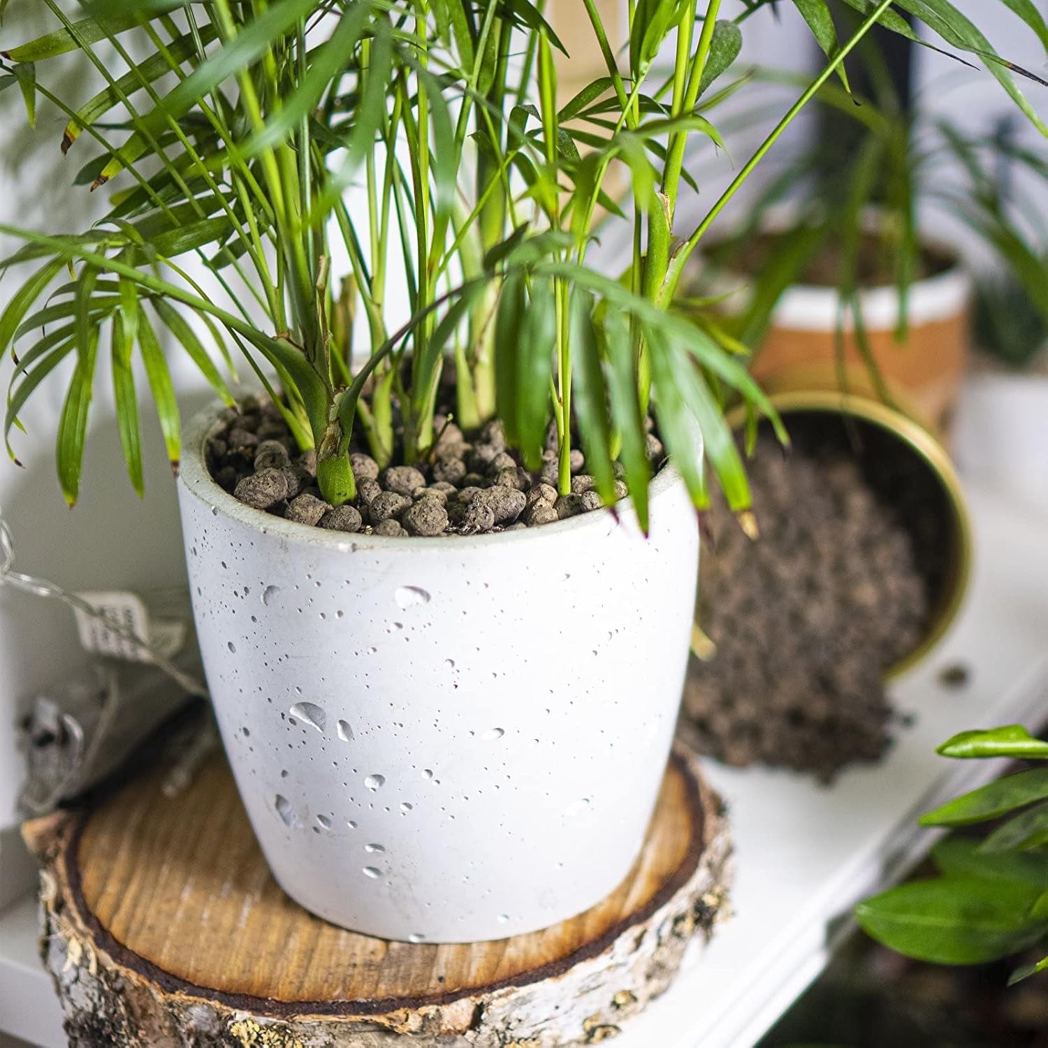 Browin 749950 Keramsit - argilla espansa 4 L, 10-20 mm, marrone