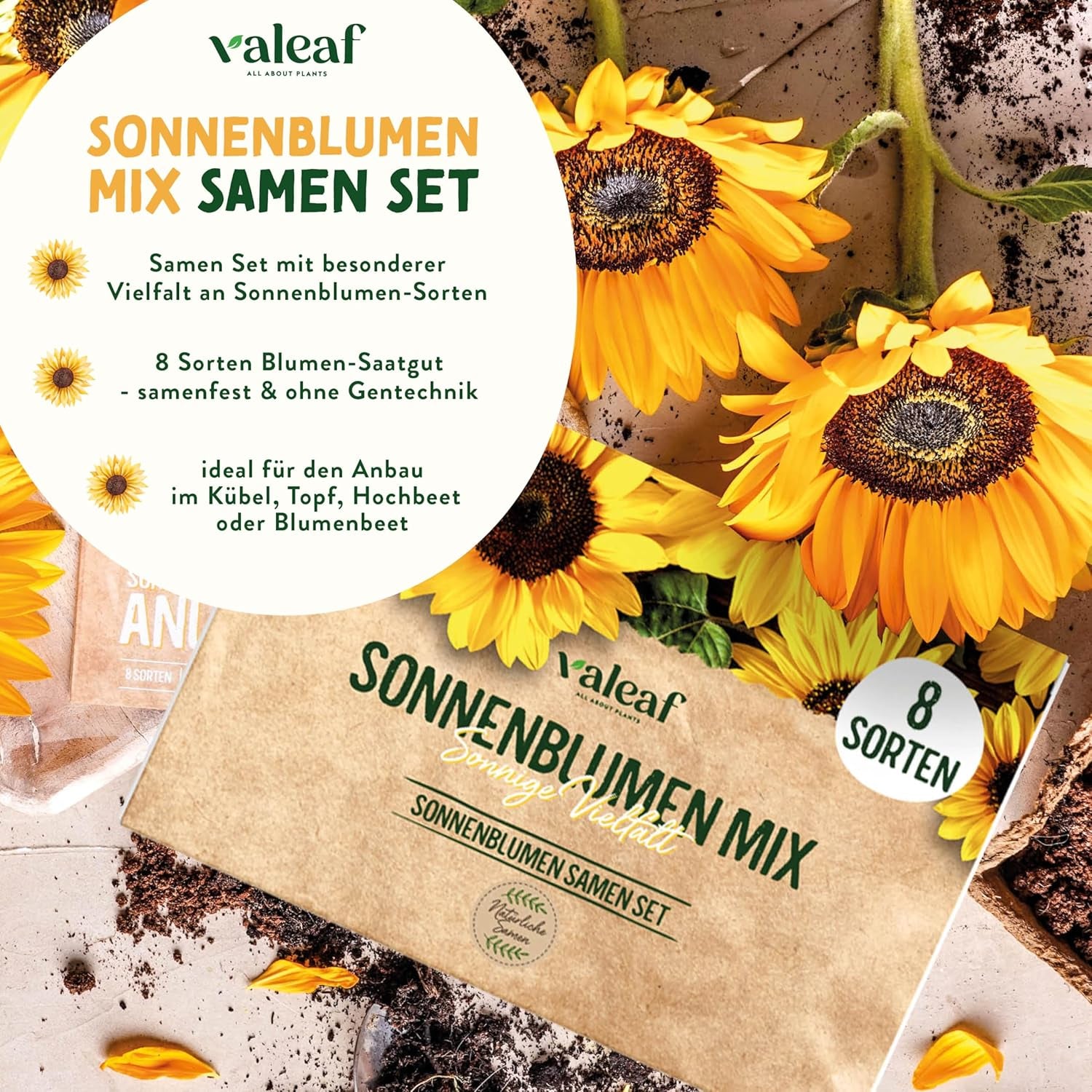 Set di semi di girasole - 8 varietà di semi di girasole - Semi di girasole in un pratico set per piantare - Semi di fiori estivi, mix di fiori di campo - Semi di fiori da piantare