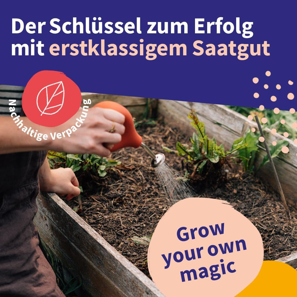 Magic Garden Seeds - Set di semi di piante medicinali dell'Europa centrale - 12 varietà tradizionali di piante medicinali popolari - Varietà antiche - Accessori da giardino - Semi di piante - Regalo per gli amanti del giardino