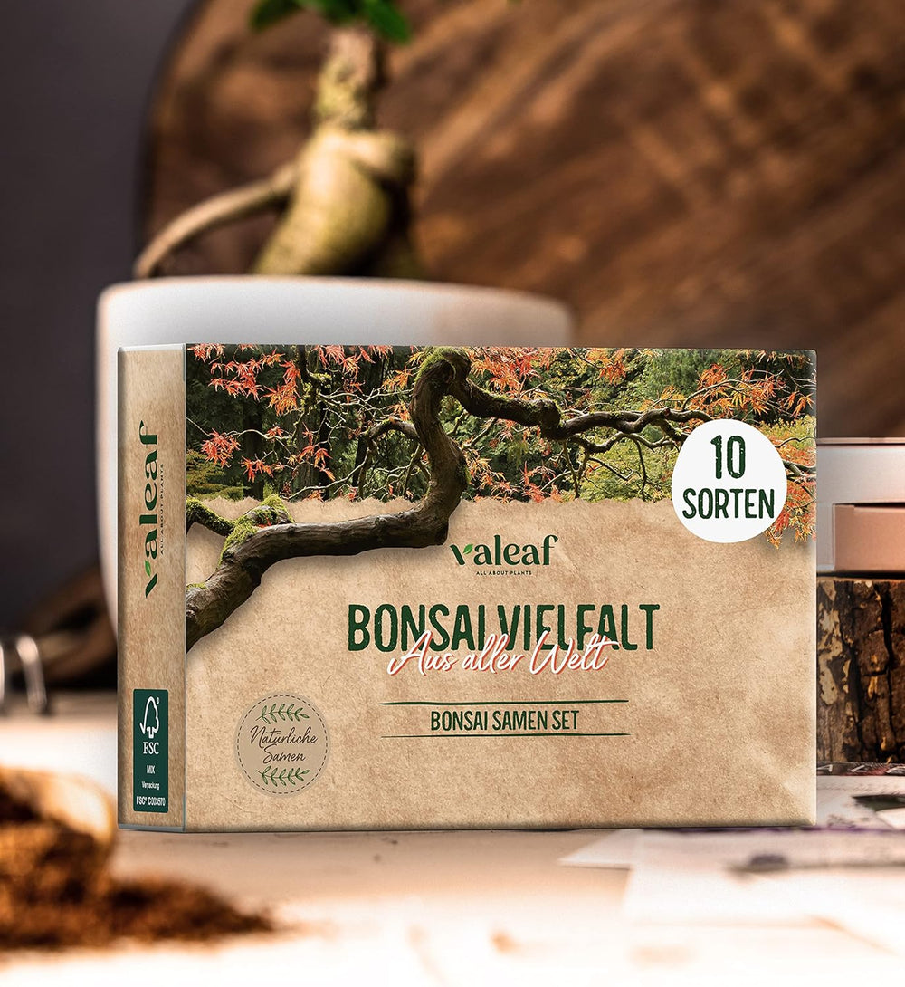 10 semi di bonsai da 5 continenti | Semi di alberi esotici per il tuo bonsai unico | Starter Kit e appassionati di piante | Il nostro set bonsai come idea regalo speciale