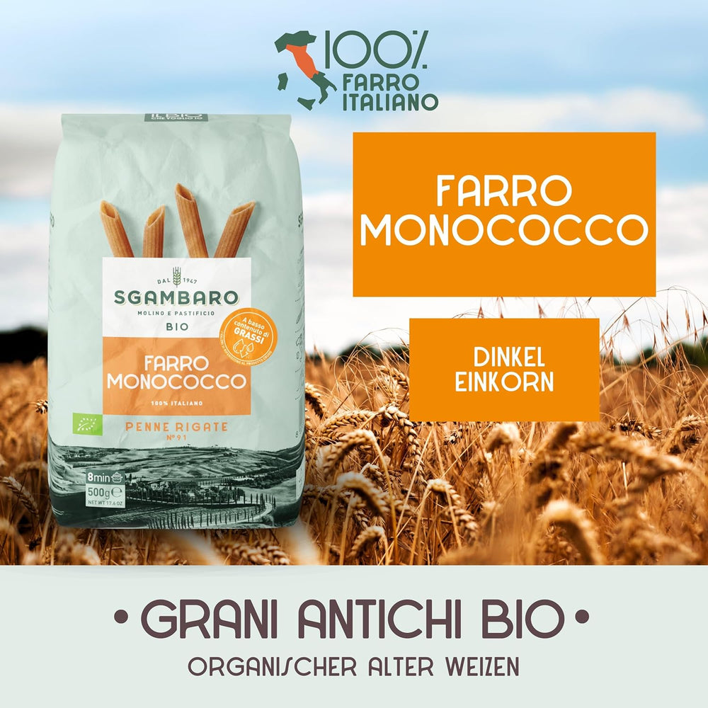 Penne Rigate Biologiche N.91 - 500g Pasta di grano magro - Fonte di fibre e proteine