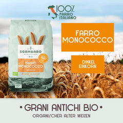 Penne Rigate Biologiche N.91 - 500g Pasta di grano magro - Fonte di fibre e proteine