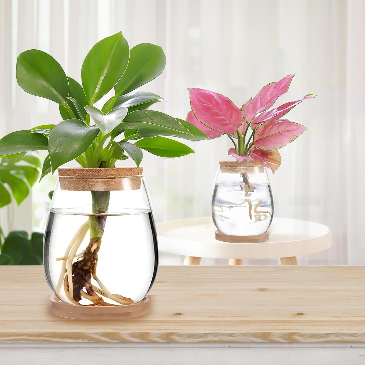 Stazione di coltivazione idroponica per piante 12x11 cm Vaso per semi di avocado Fioriera in vetro Vaso in vetro idroponico per piante acquatiche o fiori Decorazioni per la tavola da scrivania 2 pezzi