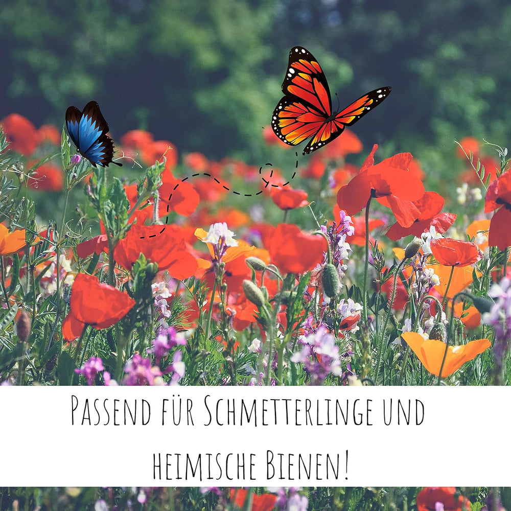 200G Schmetterlingswiese Samen Für Eine Bunte Blumenwiese - Farbenfrohe & Nektarreiche Wildblumensamen Mischung Für Schmetterlinge
