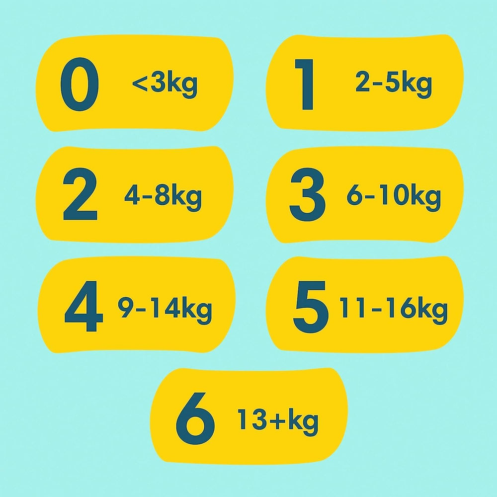 Premium Protection Starter Pack 1 e salviette umidificate Aqua