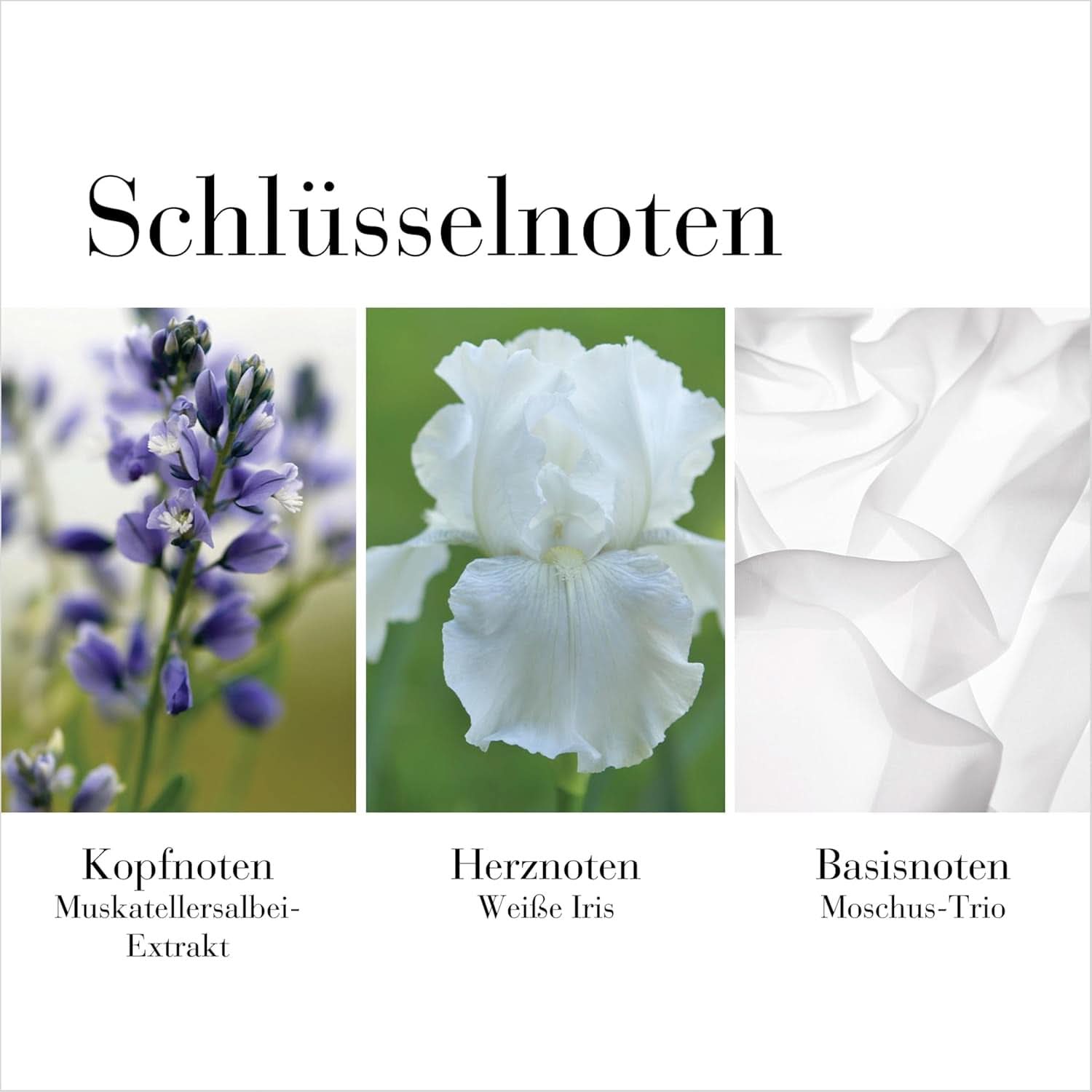 Elizabeth Arden - Tè Bianco, Crema corpo, al gusto di tè bianco, 400 ml Cosmetici e Beauty Naty Shop