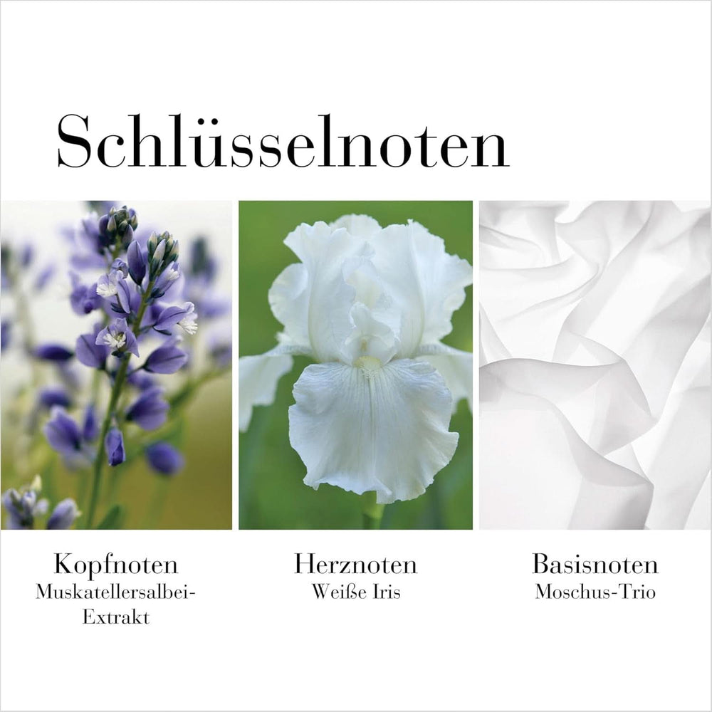 Elizabeth Arden - Tè Bianco, Crema corpo, al gusto di tè bianco, 400 ml Cosmetici e Beauty Naty Shop