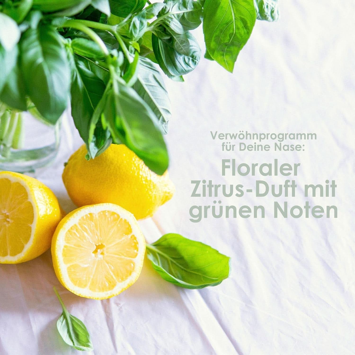 Jean & Len Shampoo idratante Aloe Vera & Basilico, per capelli molto secchi, 300 ml Doccia e Bagno Naty Shop