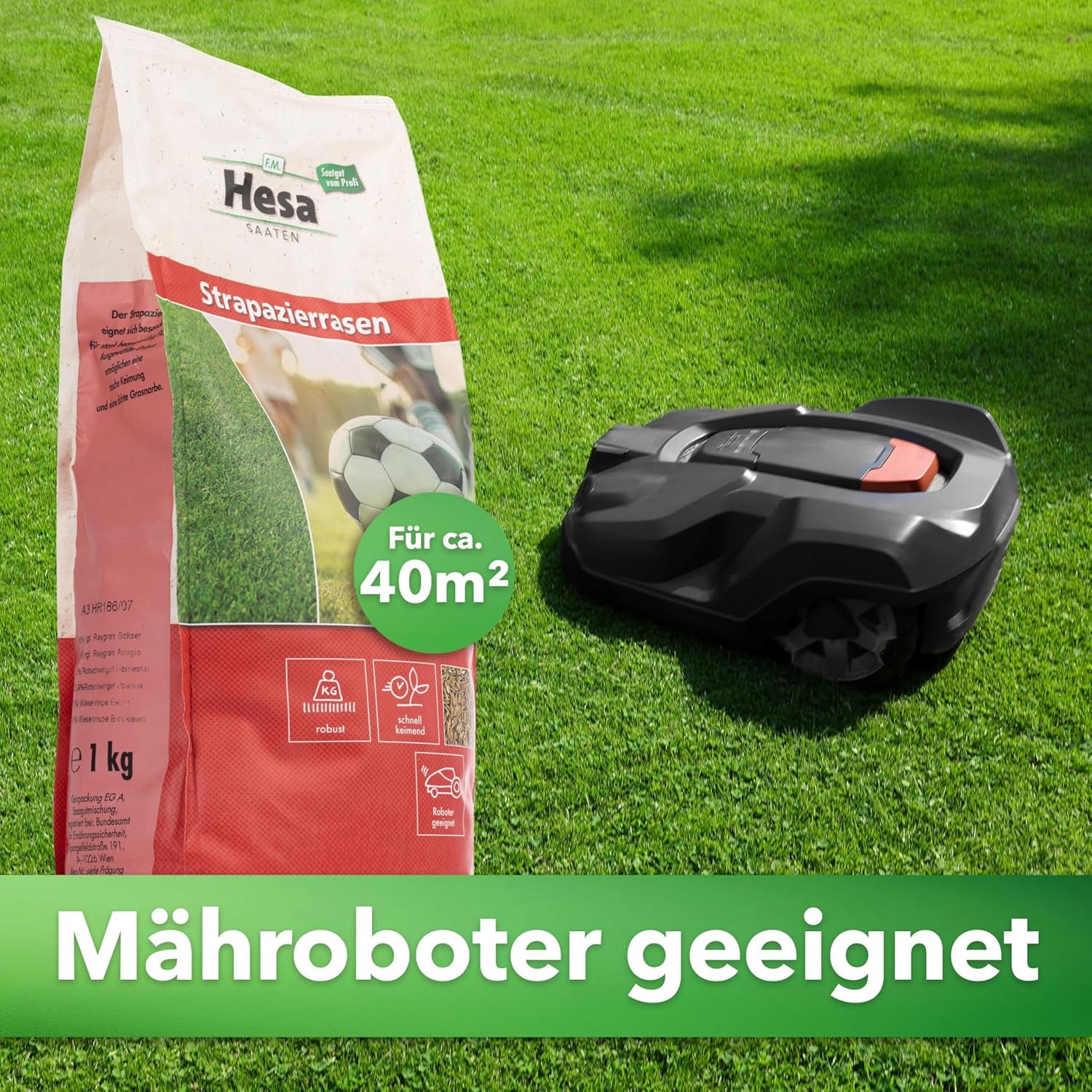 Hesa Sportrasen, 1 Kg Strapazierrasen Für Ca 40 M², Schnellkeimende Premium Rasensamen Für Starke Beanspruchung, Fussballrasen, Sportplatzrasen in Profiqualität, Auch Für Nachsaat
