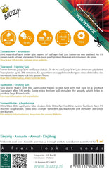 Fiori soleggiati, girasoli, sole serale