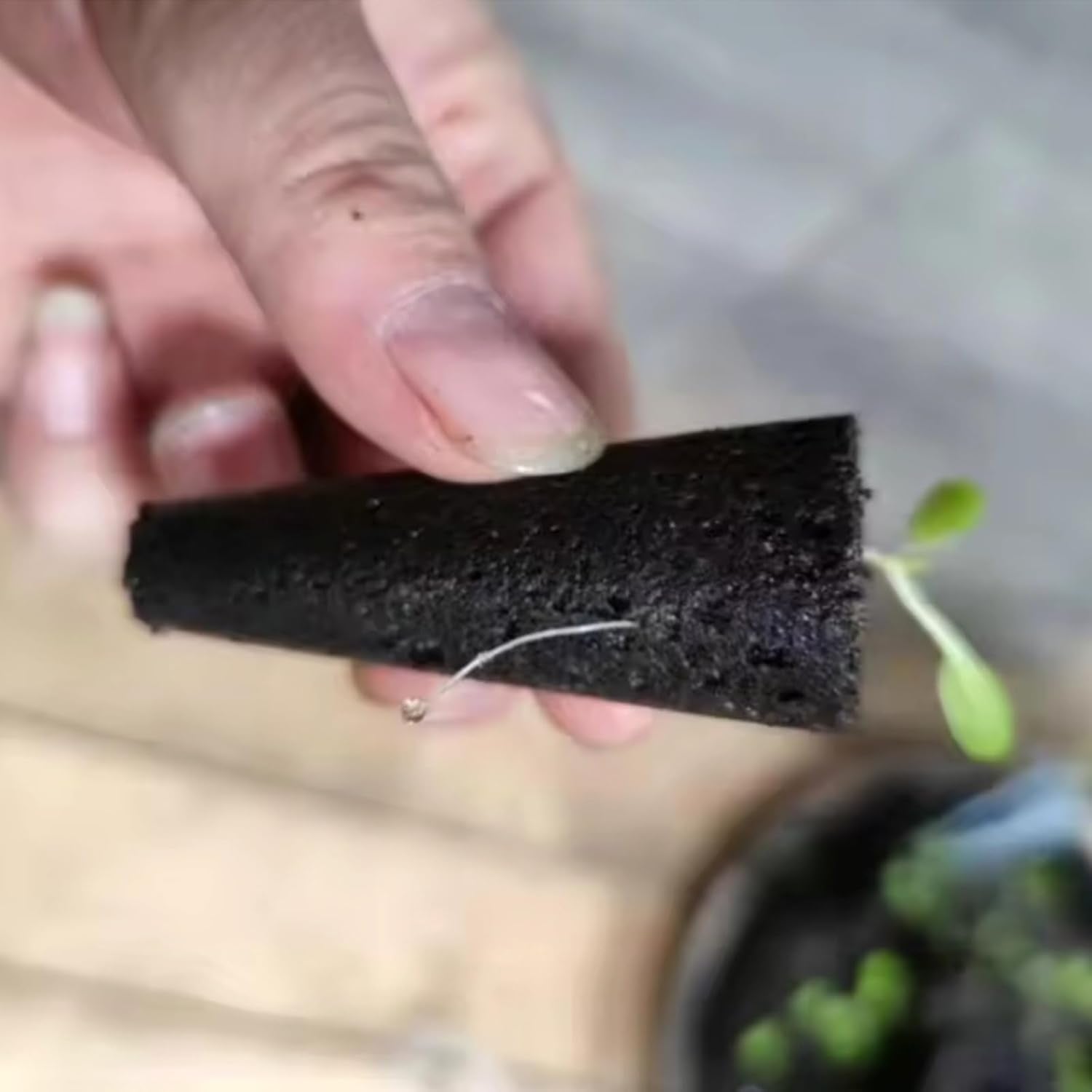 50 spugne di ricambio per coltivazione, tubi per la stabilizzazione dei semi, tappi per spugne per la coltivazione delle radici, kit di coltivazione idroponica per sistemi di coltivazione idroponica, coltura idroponica per interni, giardino