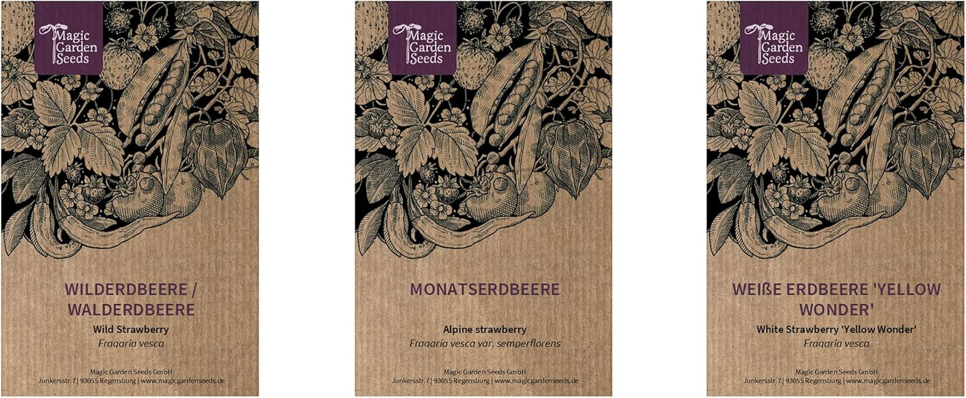 Magic Garden Seeds - Alte Erdbeersorten - Samen Geschenk Set Mit 3 Traditionellen, Köstlichen Sorten - Anzuchtset Mit Weißer Erdbeere, Roter Monatserdbeere Und Walderdbeere