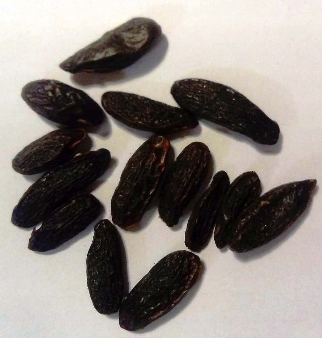 Boabe de Tonka Întregi 100g - Boabe de Tonka de Calitate Premium din Brazilia, Boabe de Tonka pentru Răzuit, Condimente din Pădurea Tropicală, Aromă: Vanilie și Migdale