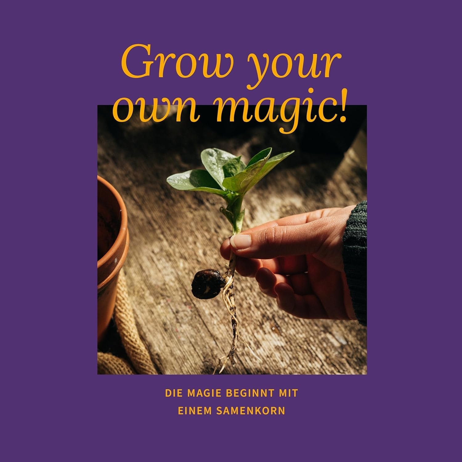 Semințe Magic Garden - Grădina Mănăstirii: Legume și Ierburi din Evul Mediu - Cutie cu Semințe cu 9 Soiuri Istorice pentru Bucătărie, Plante Medicinale și Grădină
