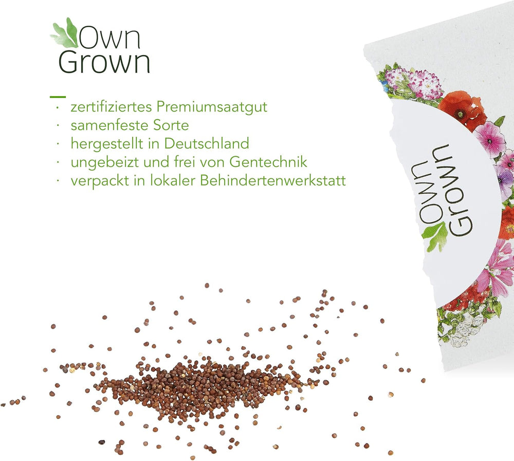 Semi di petunia: semi di petunia premium per circa 400 piante di petunia – Bellissimi semi di petunia per piante da balcone e da giardino – Semi di fiori – Semi di petunia rampicante – Fiori da balcone coltivati ​​in proprio