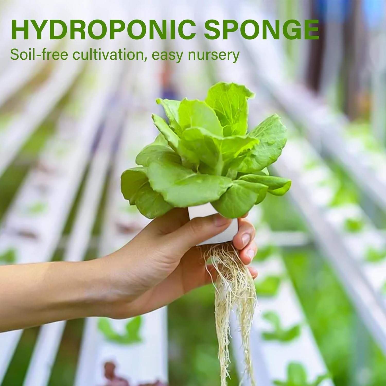 Lana di roccia, lana di roccia per propagazione, 2 pezzi, spugna idroponica, 200 pezzi dopo il taglio - Alternativa per serra, germinazione di semi e verdure domestiche